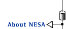 About NESA